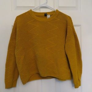 Yellow Sweater